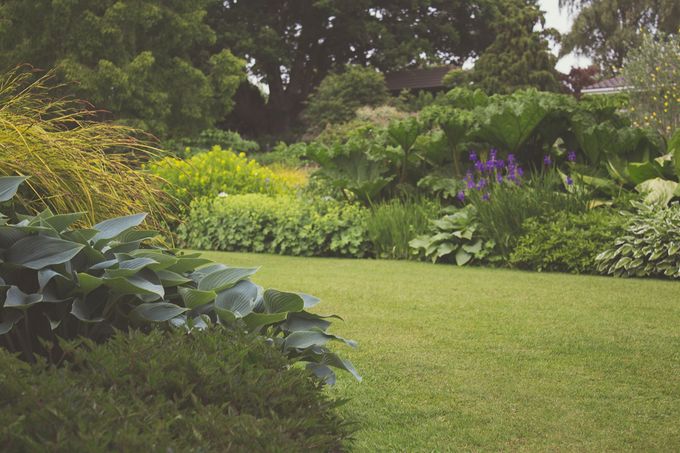 Lawn Care Spring Branch TX Shares Expert Insights on Optimal Lawn Maintenance Practices